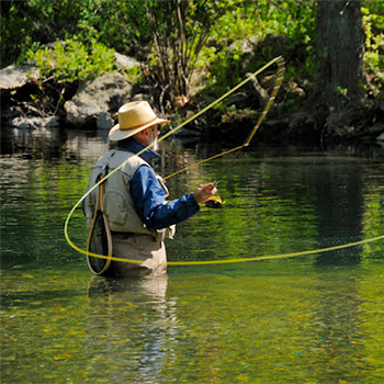 Fishing